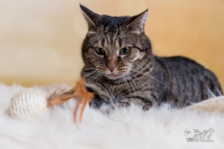 Emma, beim Studioshooting