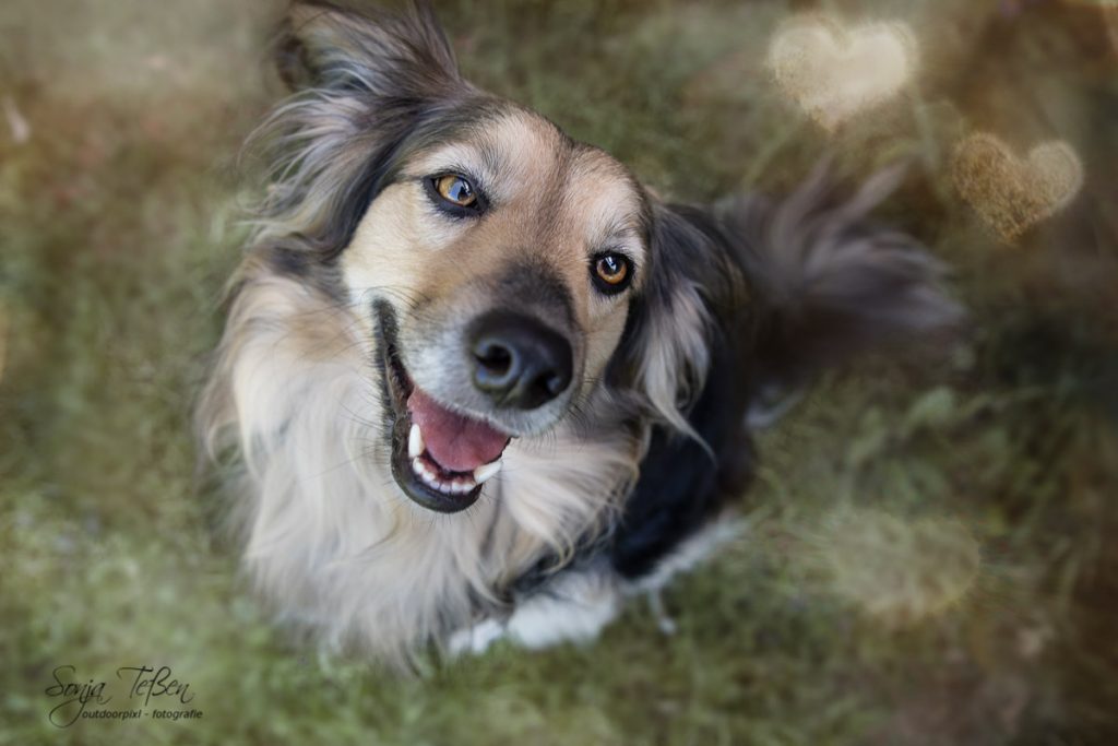 Monatspfoto Februar 2019 - Das Herz zu meinen Füßen