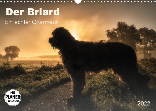 Der Briard - Charmeur - Kalender mit Planer