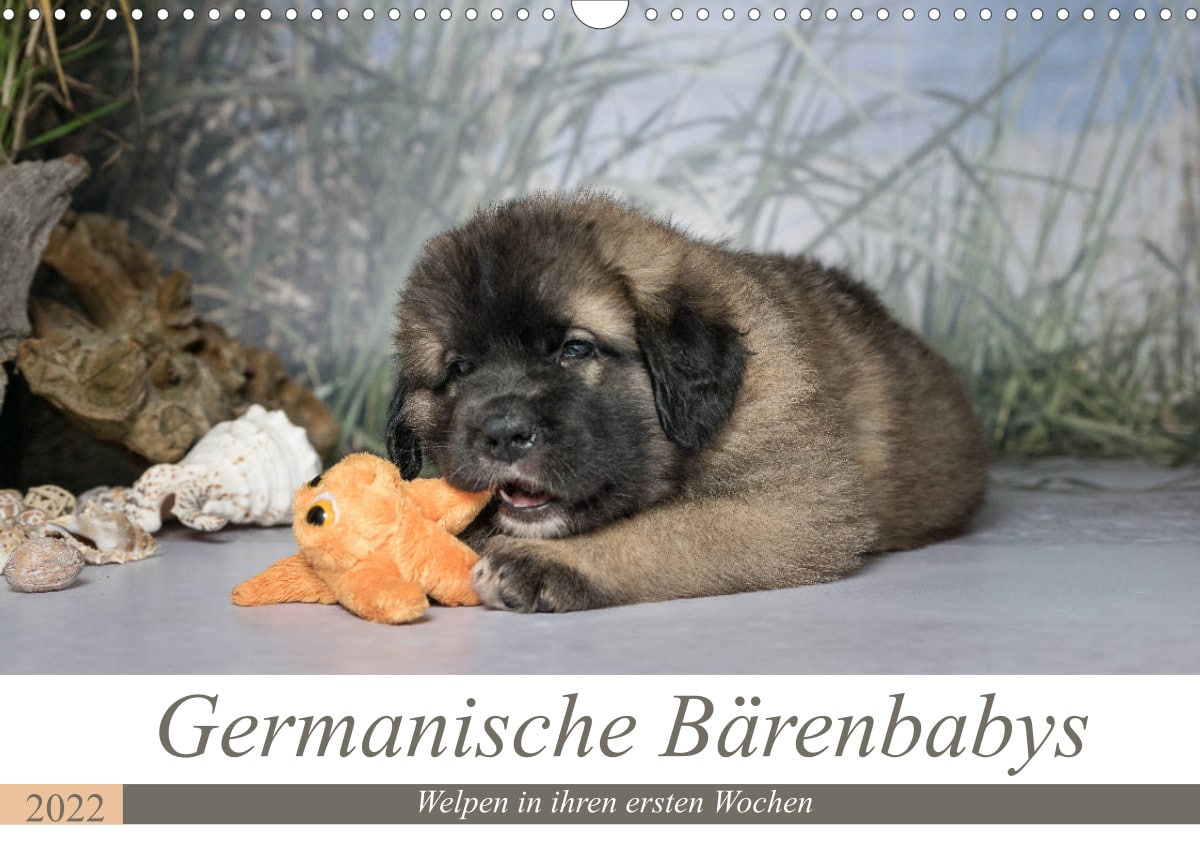 Germanische Bärenbabys Kalender