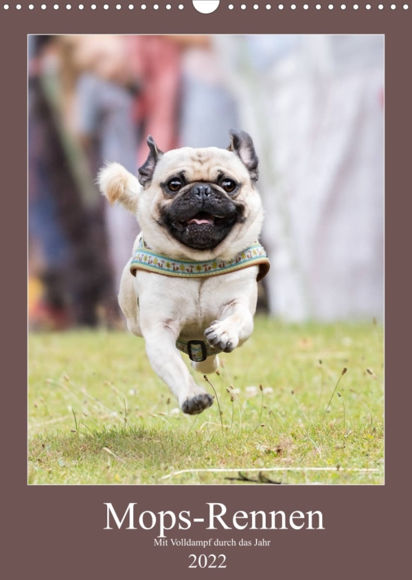 Mopsrennen Kalender
