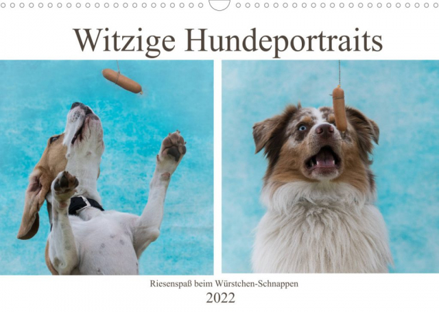 Witzige Hundeportraits Kalender