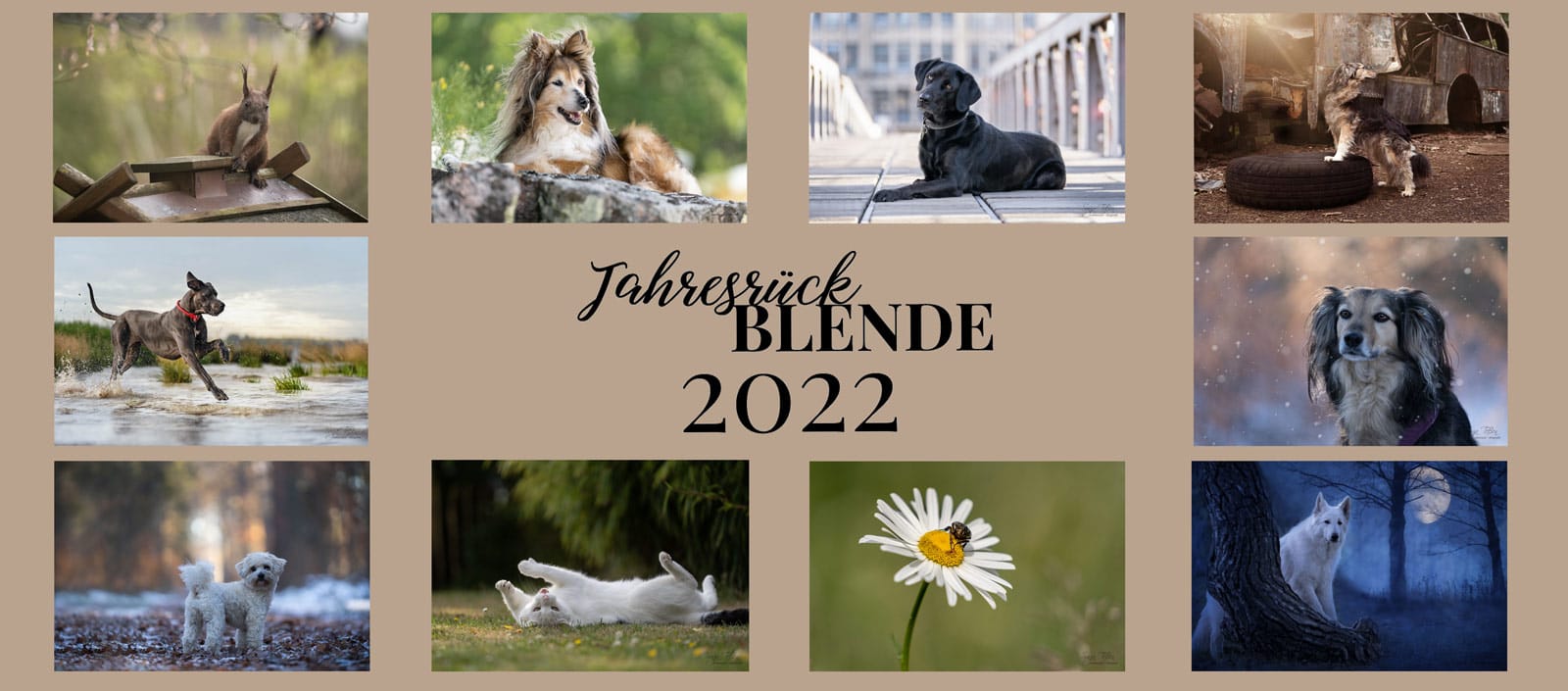 You are currently viewing JahresrückBLENDE 2022