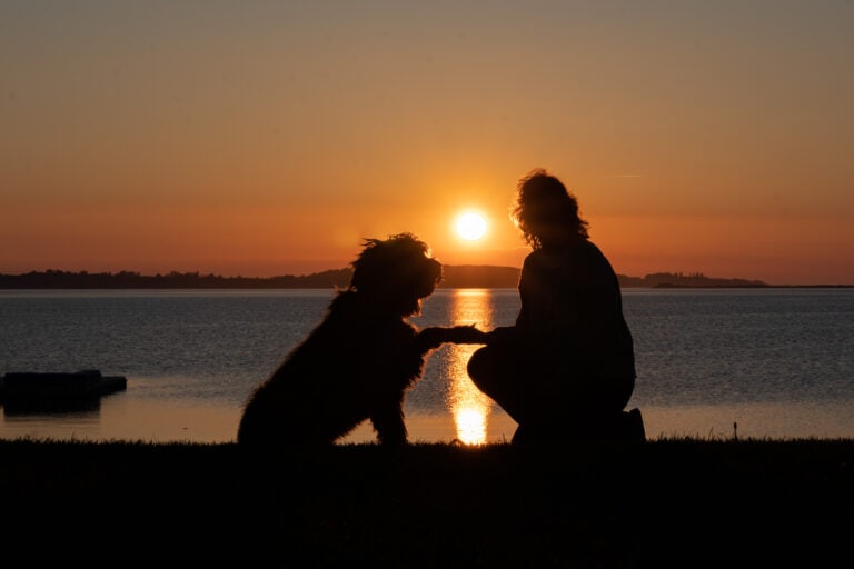 Sonja und Fiete im Sonnenuntergang