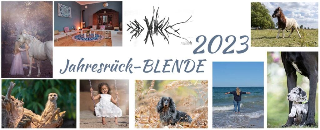 Jahresrückblende-23-Titelbild