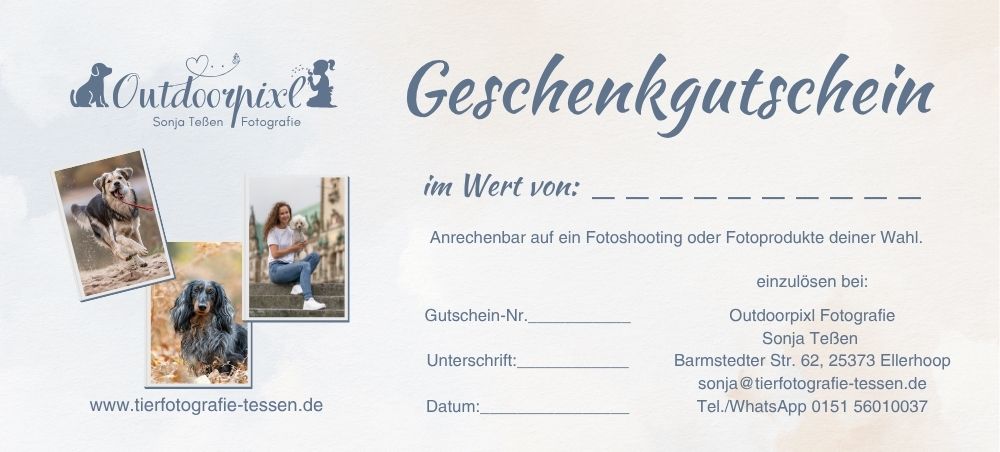 Geschenkgutschein Hundefotografie