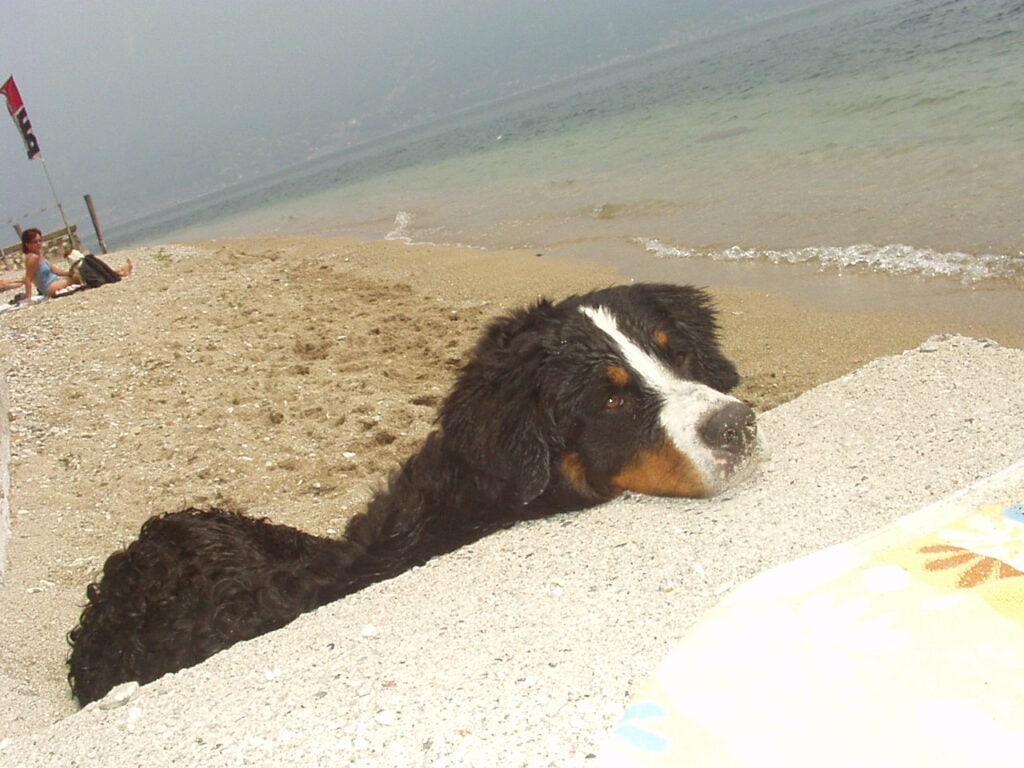Anton am Gardasee